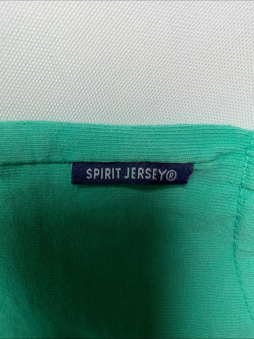 Disney Disneyland Resort Long Sleeve Sweatshirt - Teal & White - Picture 6 of 7